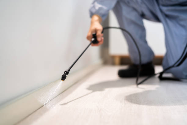 Licensed Pest Control service in Turpin Hills, OH - Show Me Pest Control